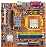 amd sempron athlon 64x2 socket am2  ddr2-533mhz imags